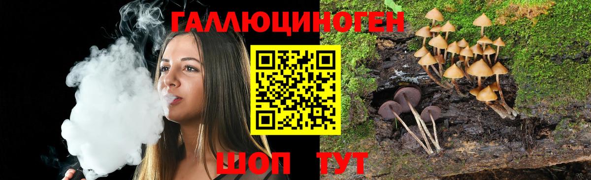 Псилоцибиновые грибы Psilocybine cubensis Канск